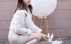 疯狂金龟车下载